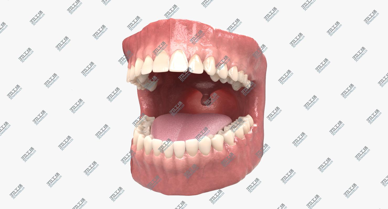 images/goods_img/202104021/3D Dental Anatomy/2.jpg